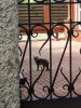 IMG_20220721_125607.thumb.jpg.4212cfbce18c70063bc158216509f074.jpg