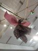 IMG_20220721_144735.thumb.jpg.6ad8d634ef06a67d03f7730a4d1d81cb.jpg
