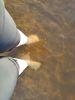 IMG_20220722_185415.thumb.jpg.a961f03c1a446cf83e83683689a941df.jpg