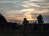 IMG_20220723_200906.thumb.jpg.ecd7ff9a364fa5f298403591be43f4a8.jpg