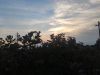 IMG_20220723_202003.thumb.jpg.49801ed12cb41913d5054e30b7c00a84.jpg
