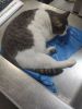 IMG_20220723_203117.thumb.jpg.04d30b62a684d33b7226b5f282733359.jpg