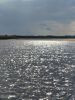 IMG_20220724_145649.thumb.jpg.38a125345d829c87e32f5bf70bc92321.jpg