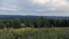IMG_20220724_173140.thumb.jpg.f24ecc42b2f9ea27b75cd41bc00f5950.jpg