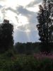 IMG_20220724_174631.thumb.jpg.be7ad50633d0740256bb5fd2885b5d2b.jpg