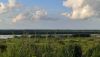 IMG_20220724_184251.thumb.jpg.f52a933b4c8264faf7143a54f2f343dc.jpg