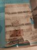 IMG_20220725_123451.thumb.jpg.58fe55bc9e0c4e71b19463a272def23e.jpg