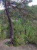 IMG_20220726_115152.thumb.jpg.594f66da80eb8bc0f51fa6724cd4e421.jpg