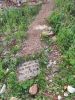 IMG_20220726_132146.thumb.jpg.d635a1d9107540b8a2e2334ccafa33fd.jpg