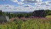 IMG_20220726_133953.jpg