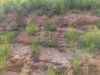 IMG_20220727_130510.thumb.jpg.9ed3359dd80d35b4479f6581275a19fc.jpg