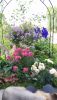 IMG_20220727_160219.thumb.jpg.88d7dd5825c4609103ecad904b2c1f99.jpg