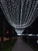 IMG_20220729_002116.thumb.jpg.d3a245c28bee2f5ab1799e5a2bd67fe1.jpg