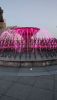 IMG_20220730_200309.thumb.jpg.2d3ba930af4457e18bc4d3e7609501f1.jpg