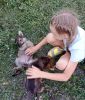 IMG_20220801_201026.thumb.jpg.0565ae1f9248a448f61bd92e8a8cdcce.jpg