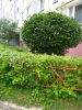IMG_20220805_071600.thumb.jpg.798550d990168f44a86f443e76dfef28.jpg