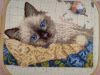 IMG_20220818_092133.thumb.jpg.34fa1badf0cd18ab15d56241663da6bb.jpg