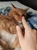 IMG_20220819_093953.thumb.jpg.8ee9bd4cc7363cf7759b4fded0f3ef12.jpg