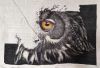 IMG_20220827_111510.thumb.jpg.059a75bffcc99e5cd86c346b88d9ed68.jpg