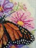 IMG_20220831_194056.jpg