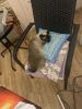 IMG_2581.thumb.JPG.dc1cc3738ba0a4e5648320fa6cfebfab.JPG