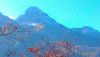 P_20181106_122455_1_p.thumb.jpg.e33f0142a9cc09f1260ae5615de5d2f4.jpg