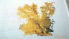 P_20220129_234114_1_p.thumb.jpg.fc411ac95ca433697da8cae196987544.jpg