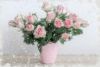 bouquet-5458081_1920.thumb.jpg.943346efc3e68efea1999f6ca21af5e0.jpg