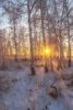 sneg-moroz-inei-solntse-derevia-1.thumb.jpg.9b4c1016c7709ec3517fc036579e7e74.jpg