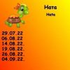 1076404131_8.thumb.jpeg.6559493a19c467cb8de87b6303b5861c.jpeg