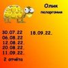 1644717671_14.thumb.jpeg.f335117e8bee69b57589b3fcaf7876be.jpeg
