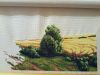 1663018217343_.thumb.jpg.795758b578319313b00e12ded1d85ad7.jpg
