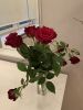 176110BA-2D9A-4DC1-95DE-33DB96D908FF.thumb.jpeg.4a83bf3605558581b38a1389027ff579.jpeg