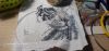 20201101_121538.jpg