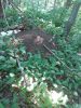 20220807_103142.thumb.jpg.effe8c56ba4f2e59e36b1531657e7de3.jpg