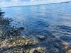 20220807_152006.thumb.jpg.a2c2357fc813e1cf067b2235efa292f7.jpg