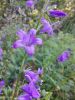 20220807_153453.thumb.jpg.cad9a83dcc40dd1f3fb929c1fe0ac89d.jpg