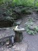 20220807_181205.thumb.jpg.e21278cd24ea9acd320fa077e88e8ccf.jpg