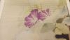 20220903_083903.thumb.jpg.2913b9800834022657bdee4c7bef5e6e.jpg