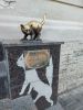 20220909_114047.thumb.jpg.564b9b6b39d13cd4a92bc6b856f29cc5.jpg