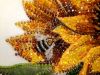 20220912_092344.thumb.jpg.22c5bbd67dee105d1f04ec239d4ad74a.jpg