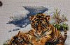 20220916_013155.thumb.jpg.93ca0af78cc04ec0c9d821e4025e0da1.jpg