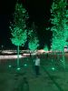 20220920_212538.thumb.jpg.bd53ed508460263fa093e0b8353e4f9f.jpg