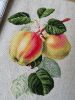 39.thumb.jpg.76cf0a3fe9c71715e7204853f6a7a536.jpg