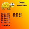 406585045_14.thumb.jpeg.1e21beb55b5c0a6c242f91d460462e27.jpeg