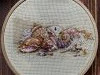 4797DDA7-263D-4CFE-A783-28AE09A64AEA.thumb.jpeg.1735d60bcb7656c641b1f3d0e9626bf4.jpeg?1663508976983