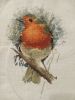 514782647_.thumb.jpg.312beca56c6a4ac70fe00e7464da8c90.jpg