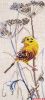 53519.thumb.jpg.0383a0c9fea7078ed1825d0bed34b6b5.jpg