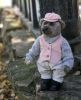 6fb179a8ec92e1337a331daa4ct6--kukly-i-igrushki-teddi-mishka-mihalych.thumb.jpg.b50e9381948a38516b677e05e6a6c94a.jpg