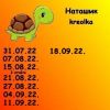 915180954_9.thumb.jpeg.97e0f1dc86aefa6bb359895e03dc009a.jpeg